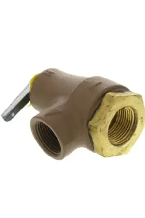Super Sale Watts 0358553 3/4 Inch 374A Relief Valve 30 psi