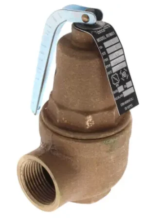 Bargain Apollo Valves 10-614-01 3/4 inch FNPT x 1 inch FNPT RVW61 High-Capacity Bronze Hot Water Relief Valve 635000 BTU