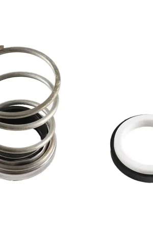 Xylem-Bell & Gossett 186860 Seal Kit 1-1/4ID All Iron Limited Offer