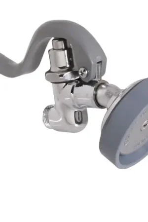 Express Delivery Valve Spray Angled Leadfree TS25A for T&S Brass