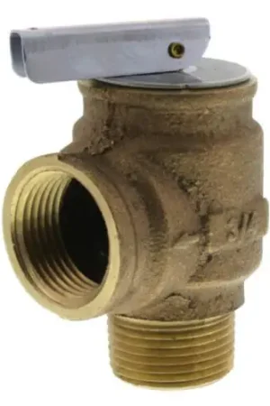 Next Day Delivery Laars A0063300 75PSI Relief Valve