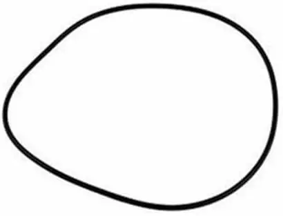 Pentair U9-373Z O-Ring Black Replacement for Sta-Rite Pool and Spa Pumps Authentic
