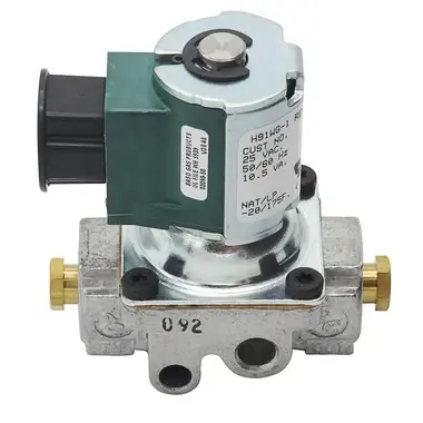 Raypak 600562 Gas Valve Pilot 24 Volt Get Yours