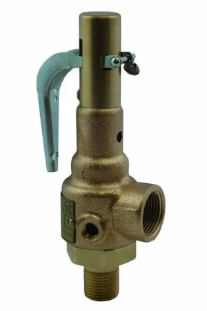 Apollo Valves 19-KJHA-125 19 Series 2 x 2.5 Inch 125# Bronze Threaded Relief Valve Low Price