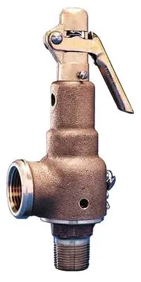 Kunkle 6010JHM01-AM0200 2x2.5 inch 200 psi Steam Valve Order Now