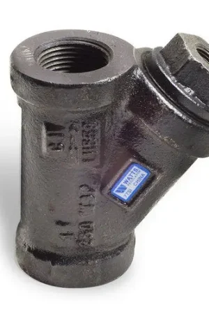 Watts 220081 WYE STRAINER #250 Hot Deal