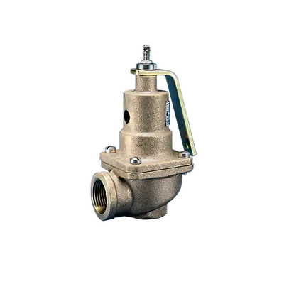 Kunkle Valve 0537-G01-HM0100 1.5x2 Inch 100# 9, 137, 417 H20 Relief Valve Replacement 0537-G01-HM0100 Luxury