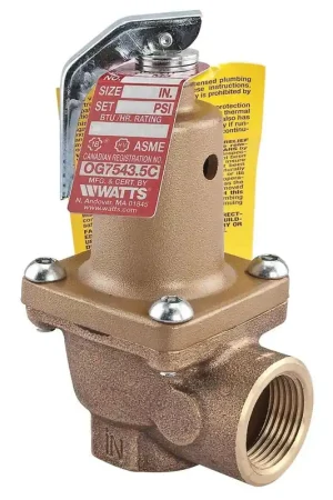 Deal Watts F276050 174A-125 Pressure Relief Valve 1-1/4 Inch NPT 5,370,000 BTU/HR