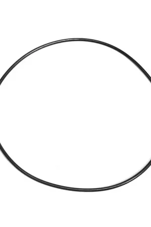 Waterway Plastics 805-0261 O-Ring Executive 48/56fr Volute Low Price