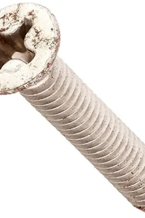 Best Choice Pentair 516242 Stainless Steel Screw for Bermuda Skimmers