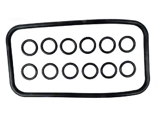 Pentair 77707-0120 O-Ring Kit for Pool and Spa Heater Buy Today