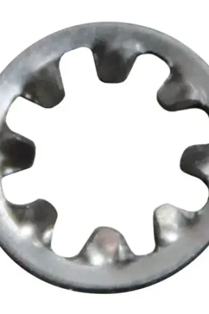 Special Offer INT 10 LOCK WASHER for Hobart WL-013-11