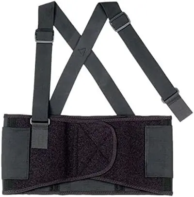 Ergodyne 11093 ProFlex 1650 Economy Elastic Back Support, Medium, Black, 1 Each Trending