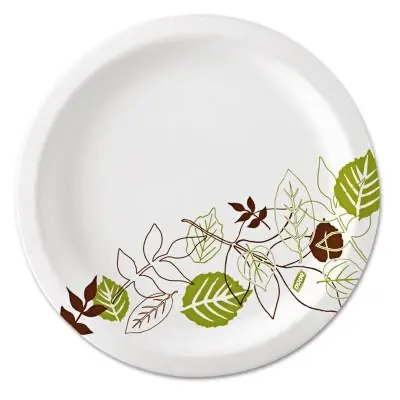 Low Price Dixie SX10PATH Ultra Heavy Weight Paper Plate 10 inches Pathways Design