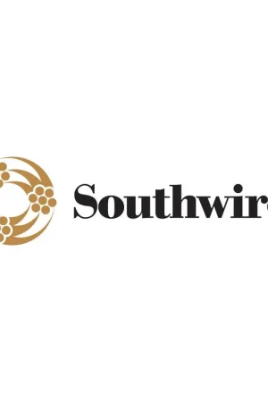 Southwire 19178806 Temp Power 8/3 STW Cordset 25 Feet Buy Direct