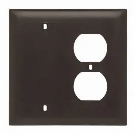 Hot Picks Pass & Seymour TP138 Wallplate Combination 2 5in BR 2 V Bare