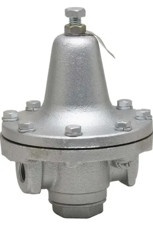 Watts 0830950 Series 152A Iron Process Steam Pressure Regulator FNPT 1 inch Factory Price