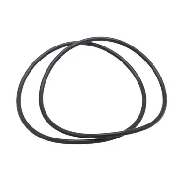Laars RS2105200 Venturi O-ring Today Only
