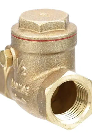 Buy Today Valve Check 1/2 Brass Z004187 for Groen Z004187