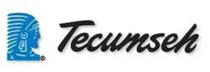 Low Price Tecumseh 30234 Teflon Gasket