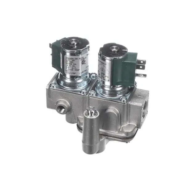 Budget VALVE GAS JOHNSON CONTROLS 123815 for Groen 123815