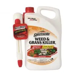 Discount True Value HG-96370 Gal Weed/Grass Killer
