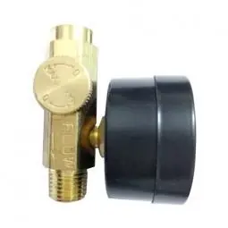 Time-Limited True Value 1204S321 MM 1/4 Air Adj Valve