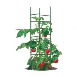 Cheap True Value TMC60 The Ultomato Ultimate Tomato Cage