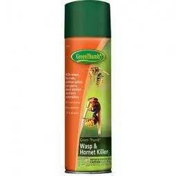TRUE VALUE HG-187978 Green Thumb Wasp & Hornet Killer, 17.5-oz. Aerosol Factory Price