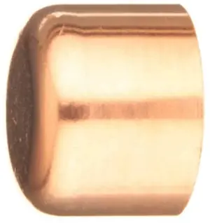 Apollo 10030626 Fitting 1/2 Inch End Cap Today Only