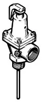 A.O. Smith 100110714 3/4 x 3/4, MPT x FPT, 150 PSI, Tap and Pressure Relief Valve for BTR 120/154/180/197/198 Commercial Gas Water Heater Hot Deal