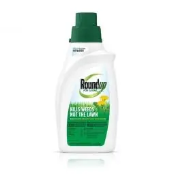 One Day Deal True Value 5008710 32OZ N CONC WEED KILLER EA