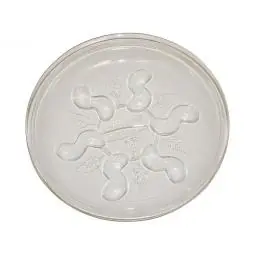 Latest TRUE VALUE SP14VUS 14 Saucer Plus EA