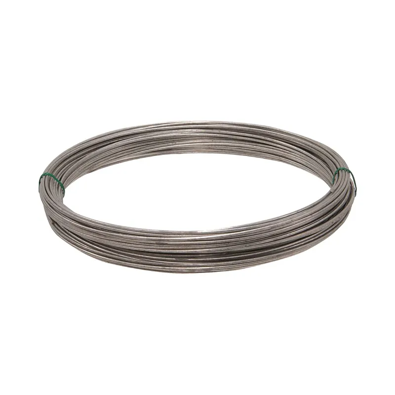 While Supplies Last TRUE VALUE 122065 100-Ft. 14-Gauge Galvanized Wire