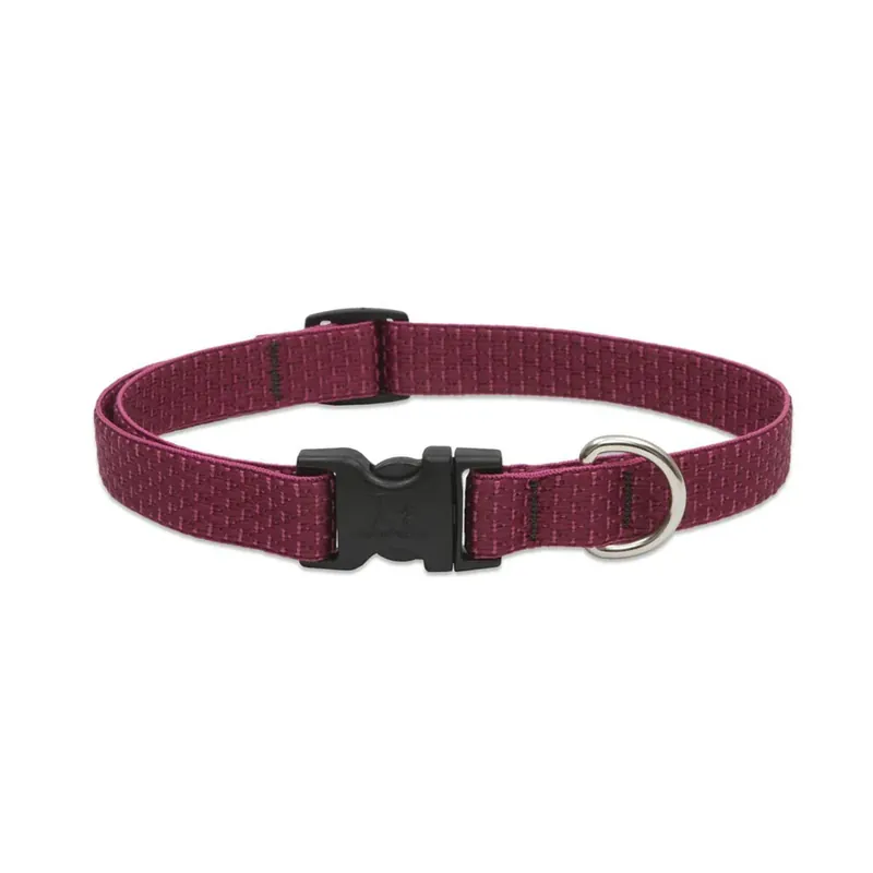 TRUE VALUE 36901 3/4X9-14 BER DOG COLLAR EA Budget