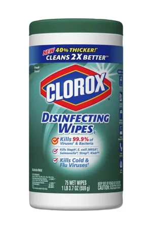 Genuine TRUE VALUE 01656 75CT CLOROX WIPES FRESH EA