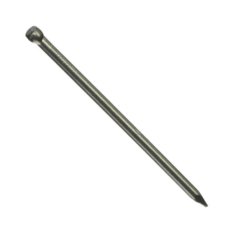 Final Sale TRUE VALUE 461640 LB 2.5x10 Finish Nail