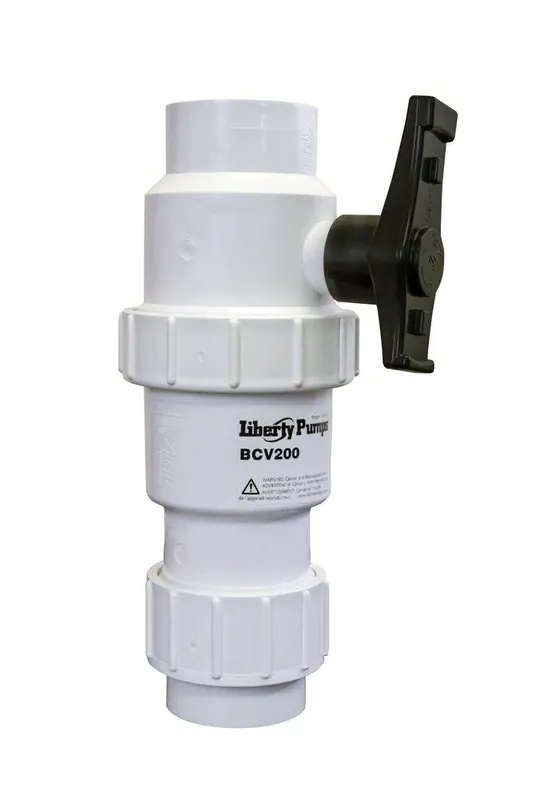 Professional Grade Liberty Pumps BCV200 2 in. Plastic Check Valve
