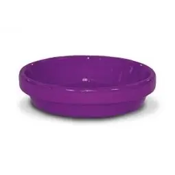 Top Rated TRUE VALUE PCSA-4-V 4 Viol Clay Saucer