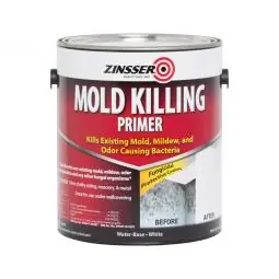 TRUE VALUE 276049 GAL Mold Killing Primer Super Sale