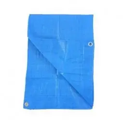 Mega Sale TRUE VALUE KT-LT0608B 6X8 BLU LD POLY TARP